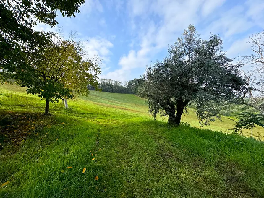 Immagine 21 di Rustico / casale in vendita  a Montottone