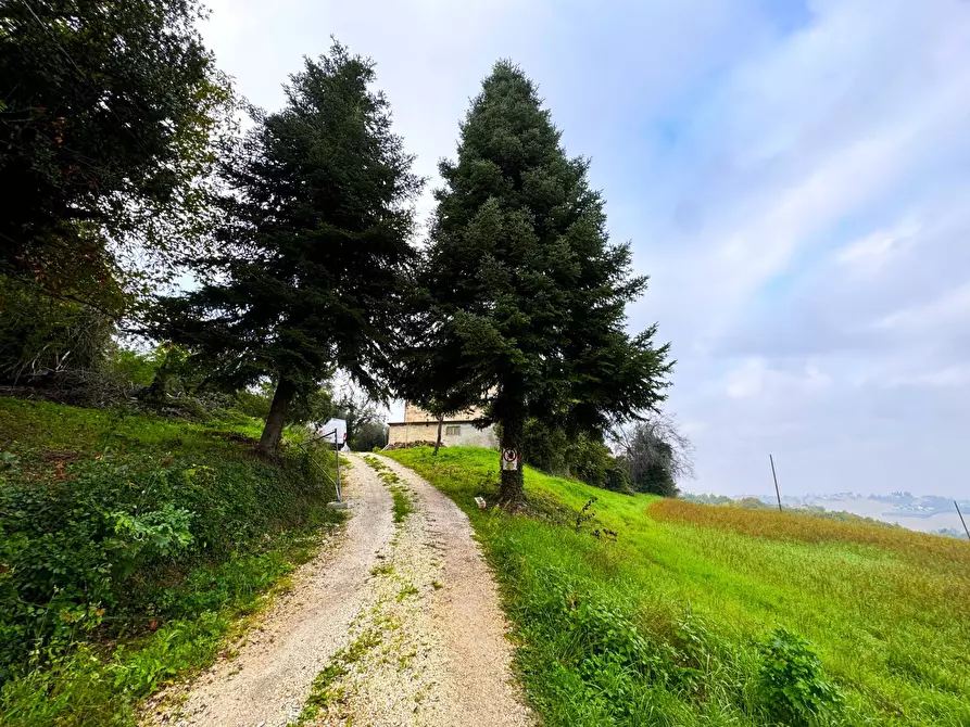 Immagine 24 di Rustico / casale in vendita  a Montottone