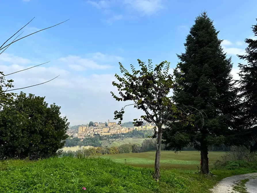 Immagine 25 di Rustico / casale in vendita  a Montottone