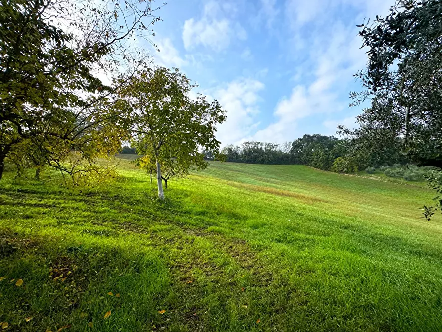 Immagine 22 di Rustico / casale in vendita  a Montottone