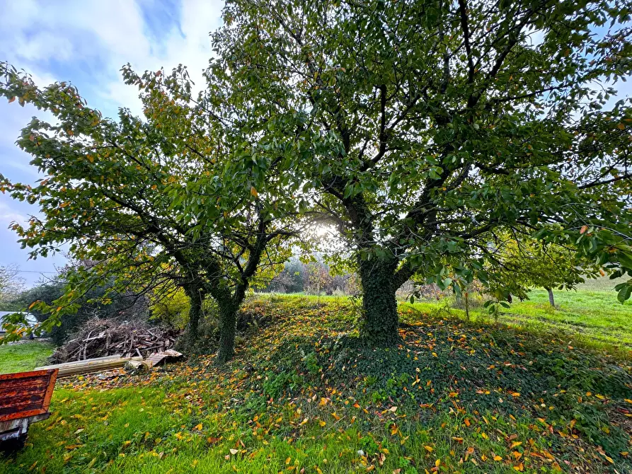 Immagine 23 di Rustico / casale in vendita  a Montottone
