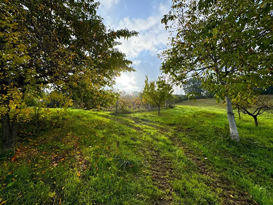 Immagine 30 di Rustico / casale in vendita  a Montottone