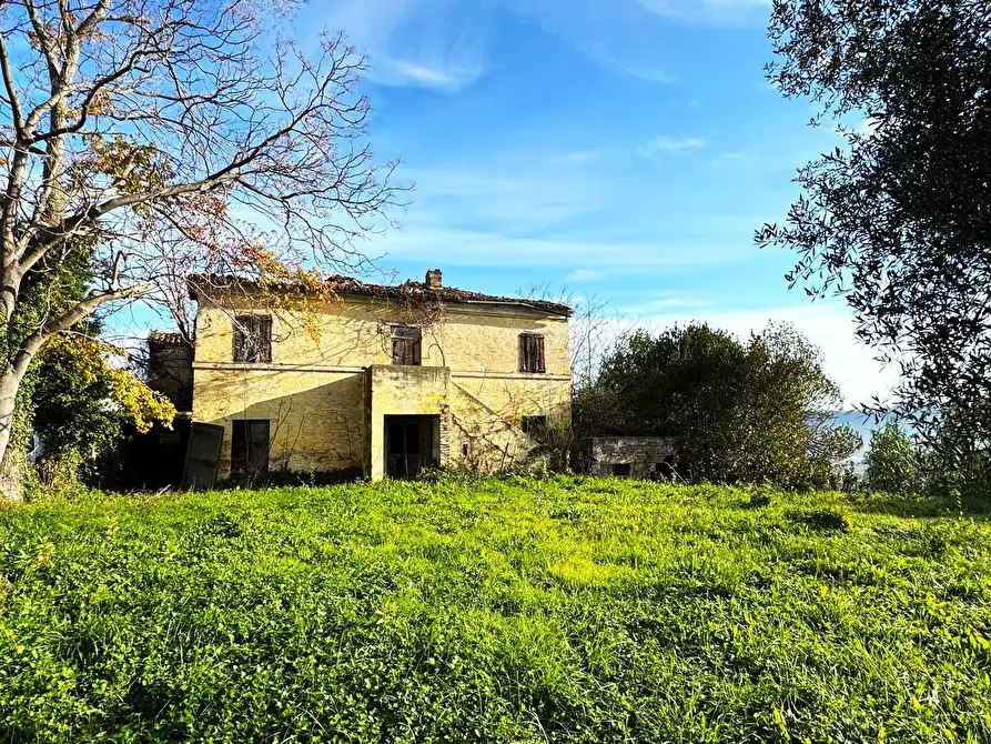 Immagine 7 di Rustico / casale in vendita  a Montegranaro