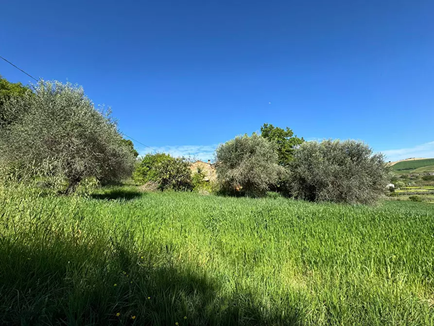 Immagine 1 di Rustico / casale in vendita  a Fermo