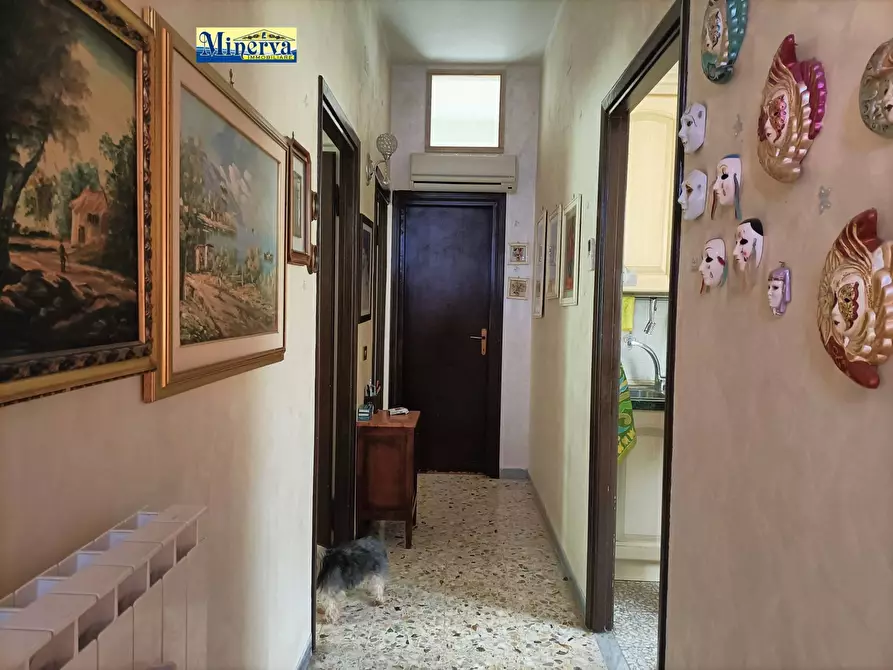 Immagine 20 di Appartamento in vendita  in Via Vasco De Gama a Anzio