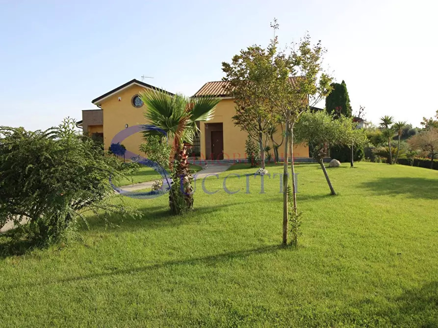 Immagine 3 di Villa in vendita  in Via Terrabianca a Tortoreto