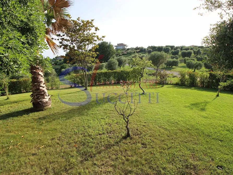 Immagine 15 di Villa in vendita  in Via Terrabianca a Tortoreto