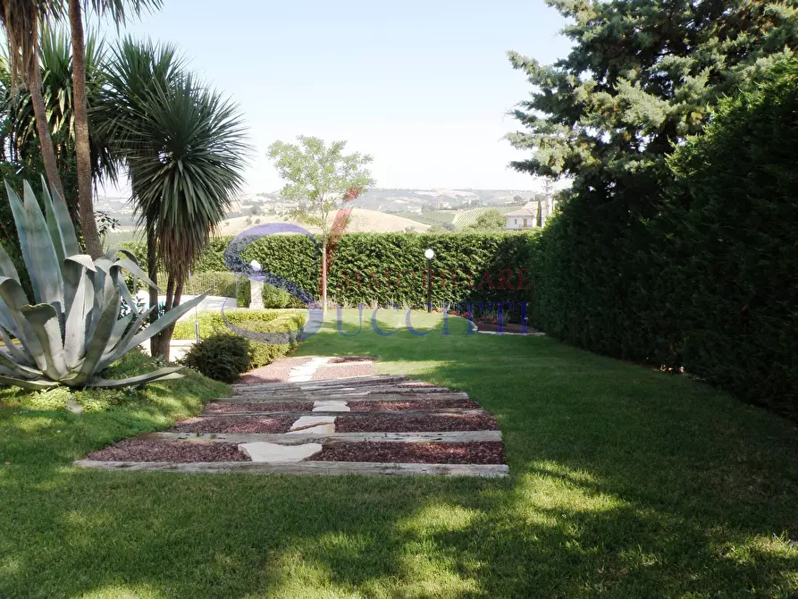 Immagine 9 di Villa in vendita  in Contrada Lava a Offida