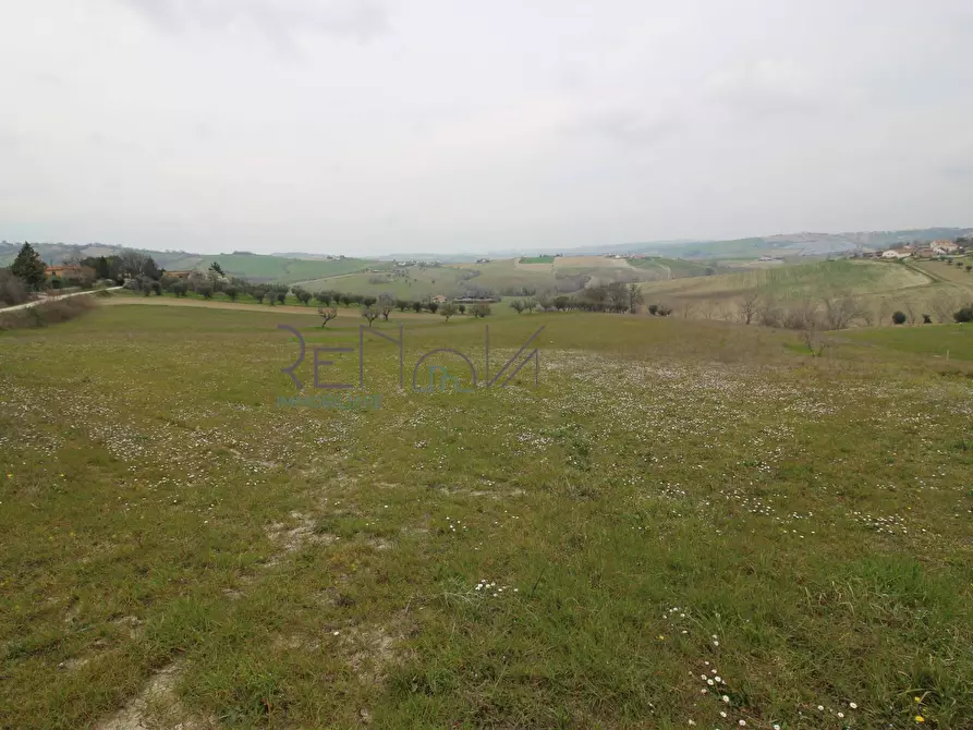 Immagine 6 di Casa indipendente in vendita  in Contrada Penna Alta a Bellante