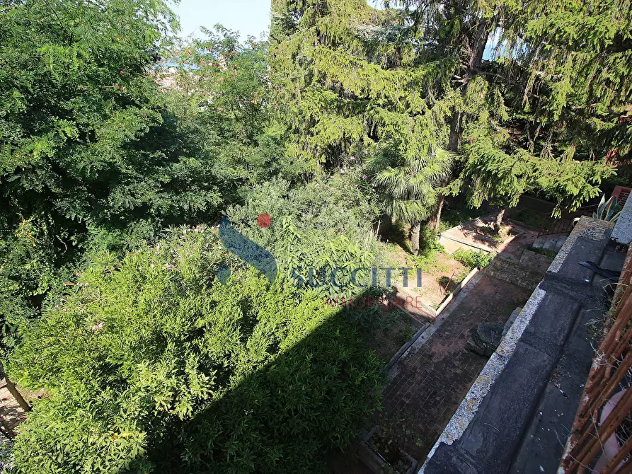 Immagine 3 di Casa indipendente in vendita  in via Tito Acerbo a Giulianova