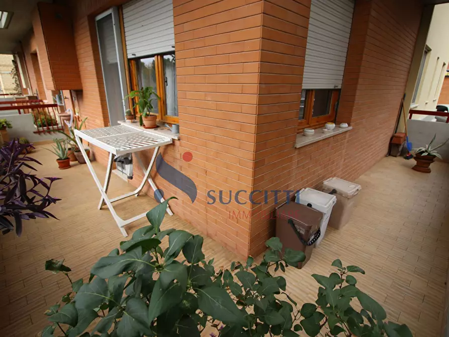 Immagine 14 di Appartamento in vendita  in Via F. Barnabei a Teramo