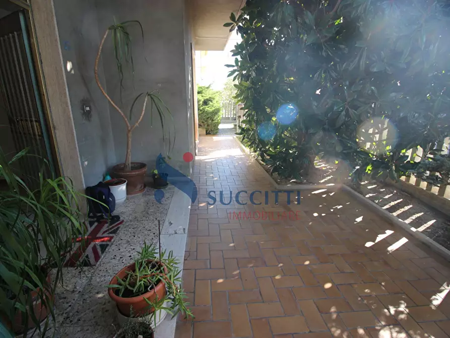 Immagine 16 di Casa indipendente in vendita  in Via dei Tigli a Alba Adriatica