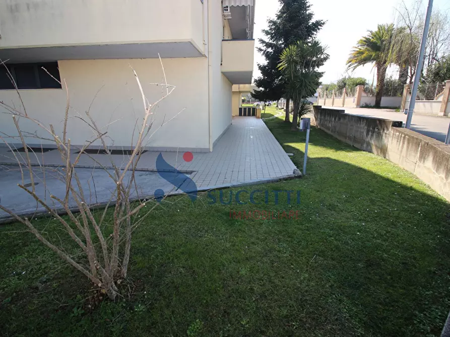 Immagine 29 di Attico in vendita  in via del concordato a Alba Adriatica