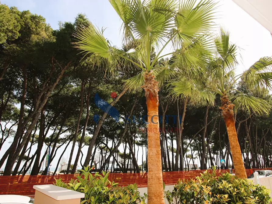 Immagine 30 di Appartamento in vendita  in via Emilia a Alba Adriatica