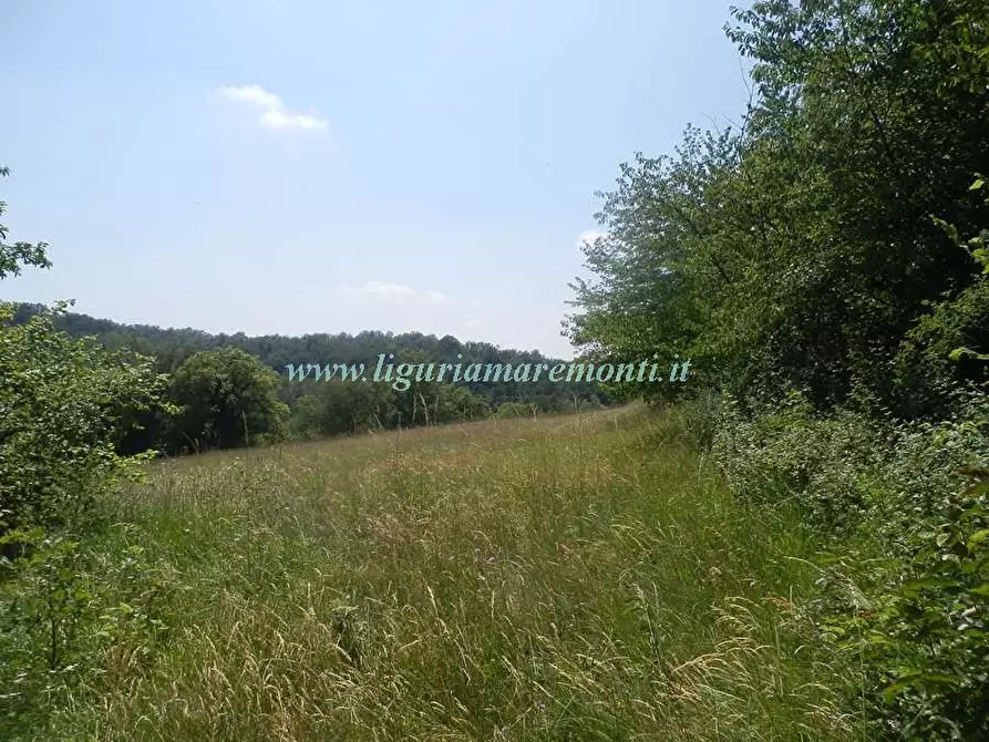 Immagine 3 di Rustico / casale in vendita  in LOC TOSI a Dego