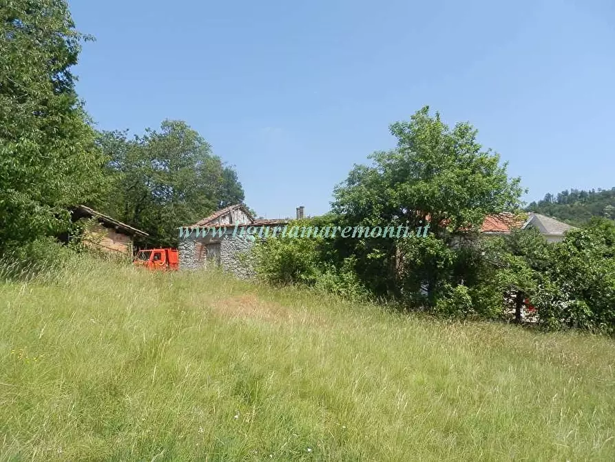 Immagine 5 di Rustico / casale in vendita  in LOC TOSI a Dego