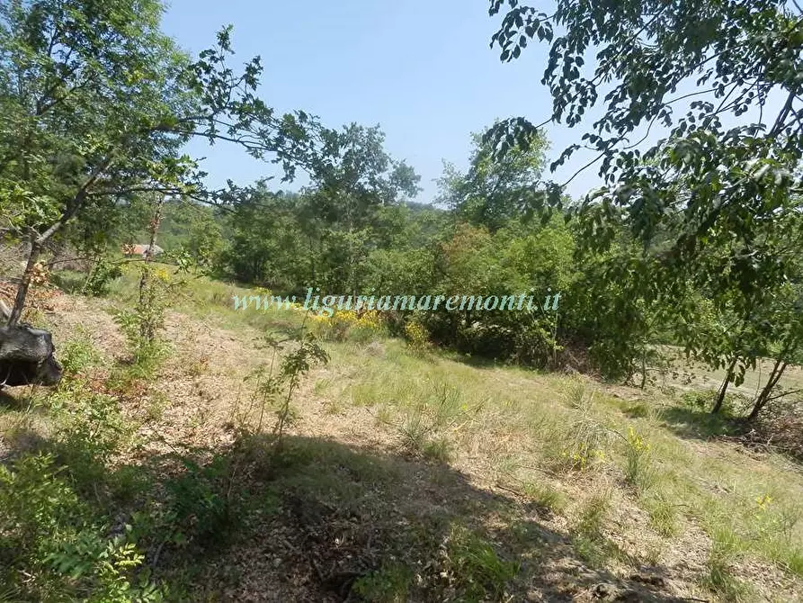 Immagine 6 di Rustico / casale in vendita  in LOC TOSI a Dego