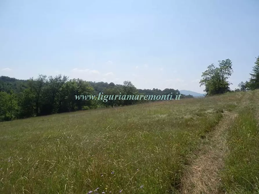 Immagine 14 di Rustico / casale in vendita  in LOC TOSI a Dego