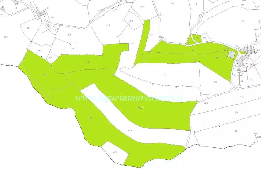 Immagine 15 di Rustico / casale in vendita  in LOC TOSI a Dego