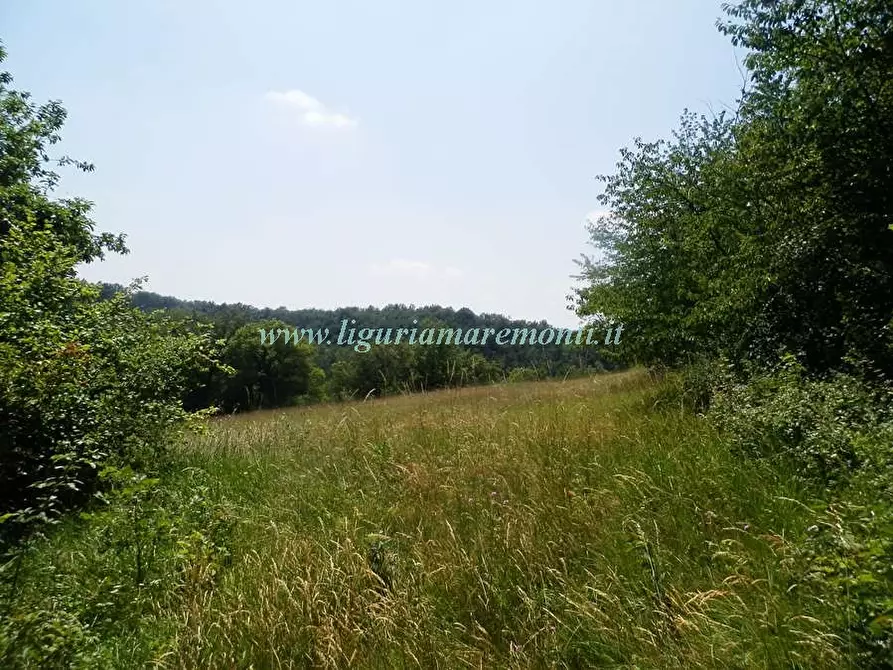 Immagine 16 di Rustico / casale in vendita  in LOC TOSI a Dego