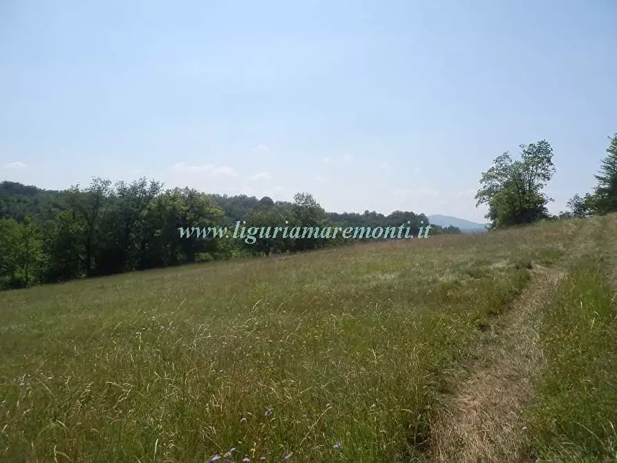 Immagine 24 di Rustico / casale in vendita  in LOC TOSI a Dego