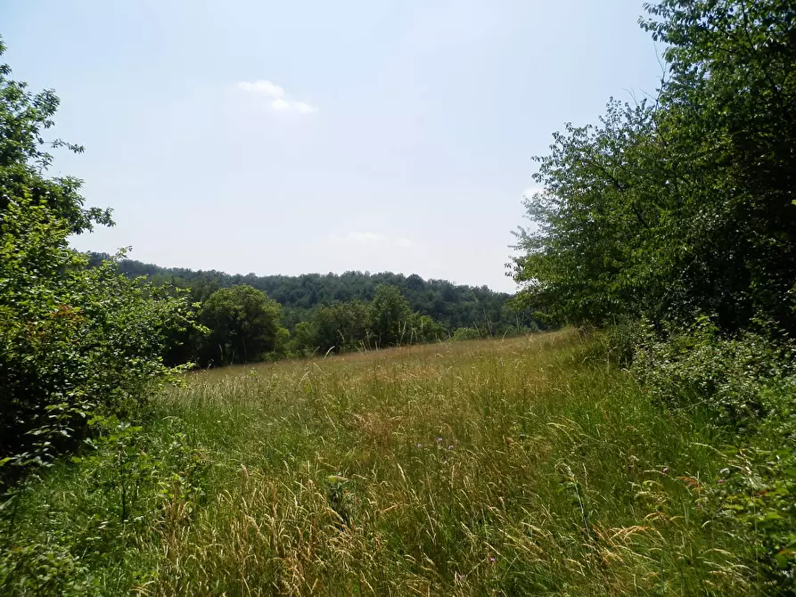 Immagine 28 di Rustico / casale in vendita  in LOC TOSI a Dego