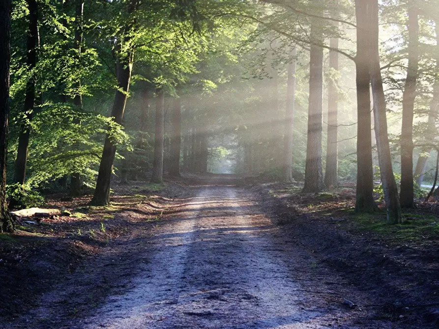 Immagine 9 di Casa indipendente in vendita  in loc marcagiolo montela a Bardineto