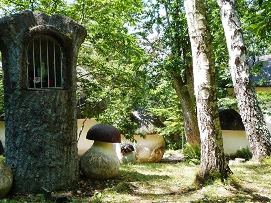 Immagine 13 di Casa indipendente in vendita  in loc marcagiolo montela a Bardineto