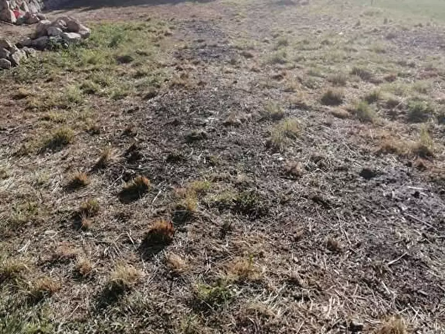 Immagine 15 di Casa indipendente in vendita  in loc marcagiolo montela a Bardineto