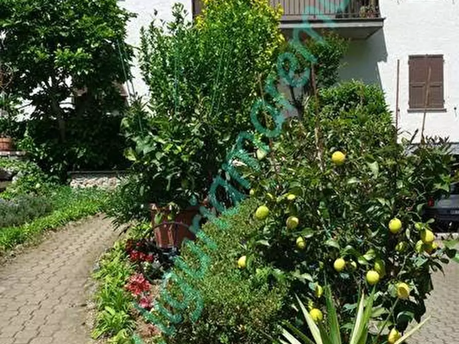 Immagine 4 di Casa indipendente in vendita  in via g. marconi a Millesimo