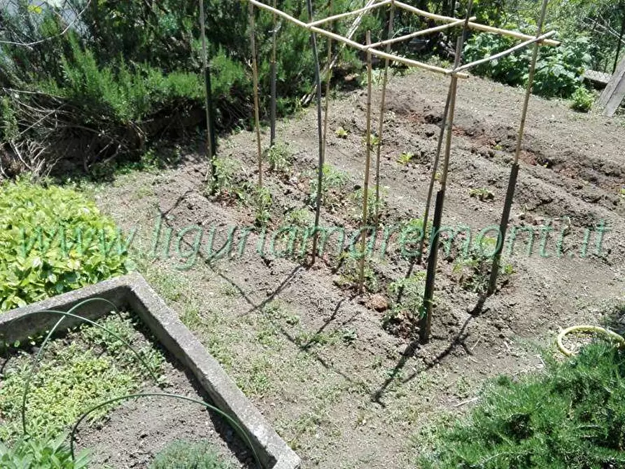 Immagine 5 di Villetta a schiera in vendita  in via paolo cappa a Dego