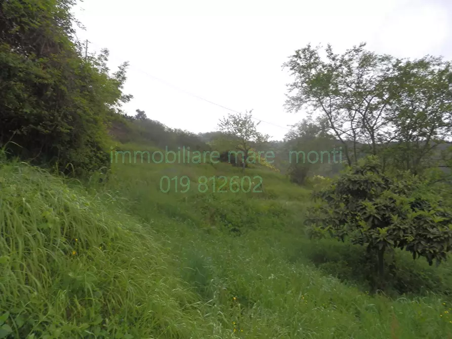 Immagine 3 di Casa indipendente in vendita  in via nazionale piemonte a Savona