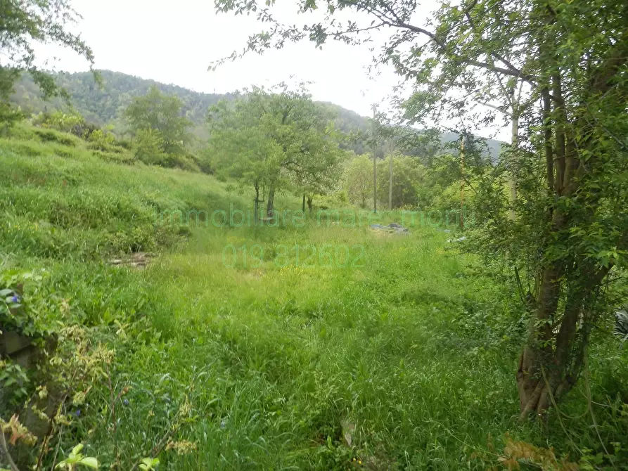 Immagine 15 di Casa indipendente in vendita  in via nazionale piemonte a Savona