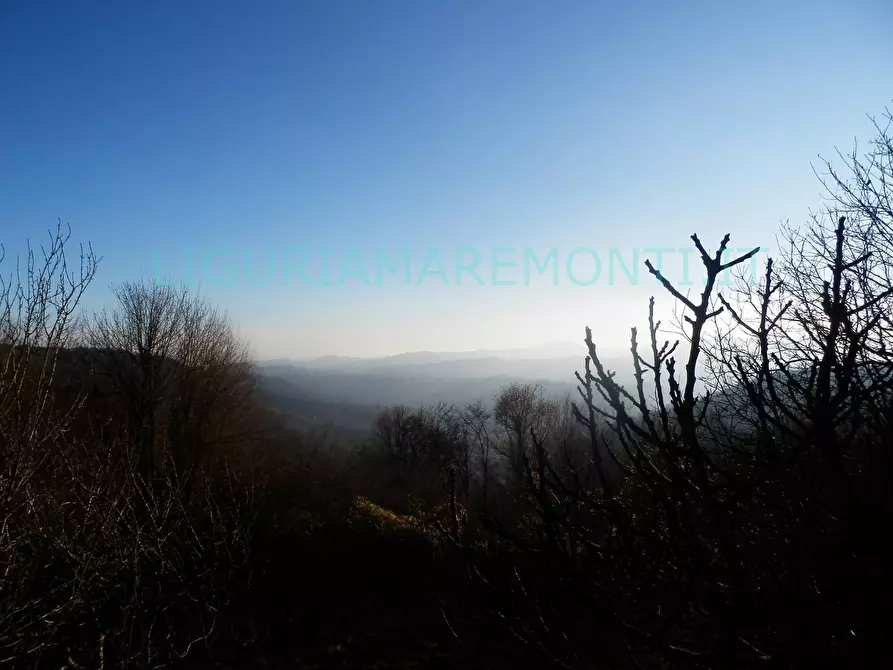 Immagine 5 di Casa indipendente in vendita  in via san bartolmeo del bosco a Savona
