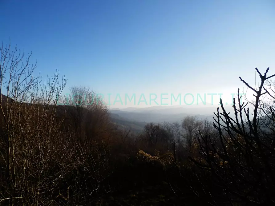 Immagine 8 di Casa indipendente in vendita  in via san bartolmeo del bosco a Savona
