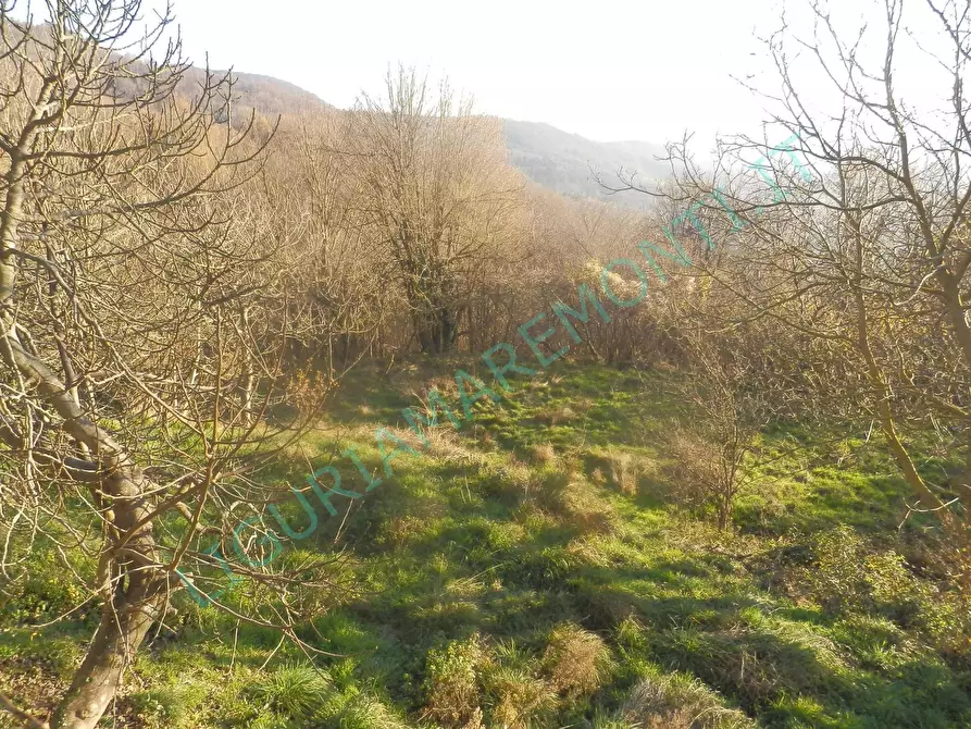 Immagine 14 di Casa indipendente in vendita  in via san bartolmeo del bosco a Savona
