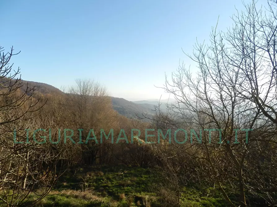 Immagine 16 di Casa indipendente in vendita  in via san bartolmeo del bosco a Savona