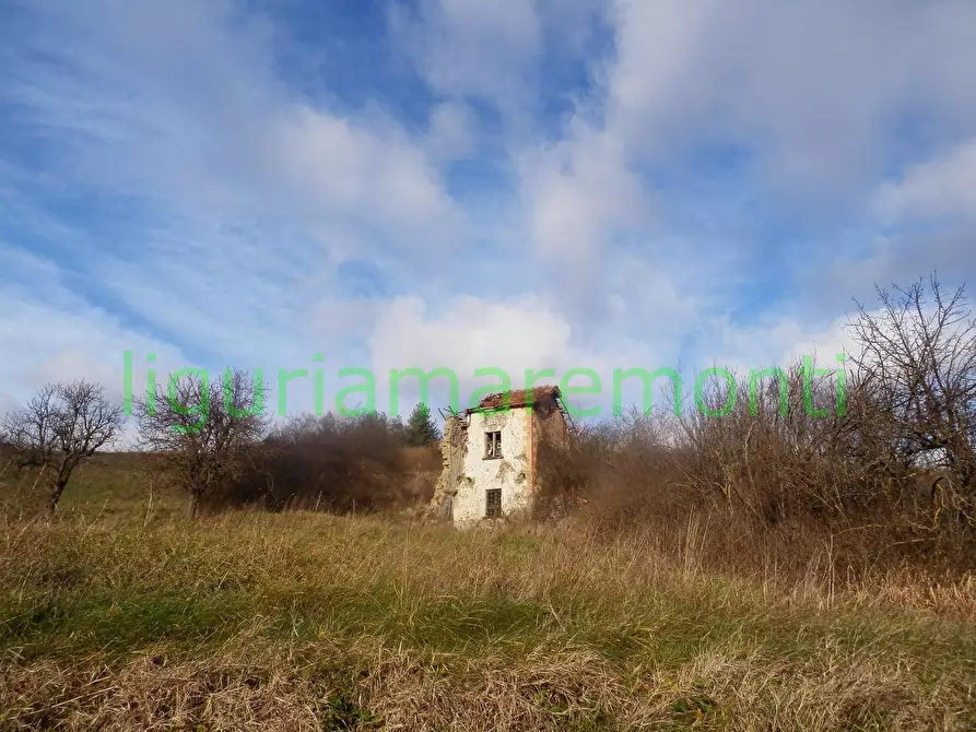 Immagine 3 di Rustico / casale in vendita  in loc vigna a Mioglia