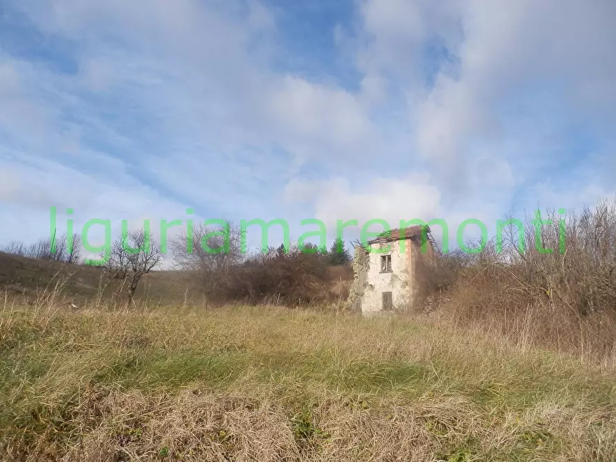 Immagine 4 di Rustico / casale in vendita  in loc vigna a Mioglia