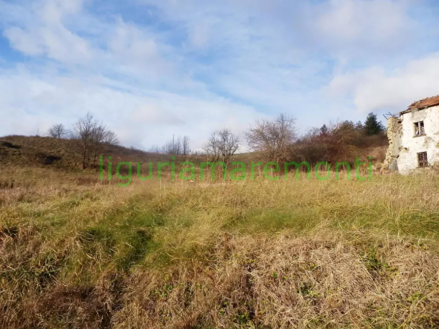 Immagine 5 di Rustico / casale in vendita  in loc vigna a Mioglia