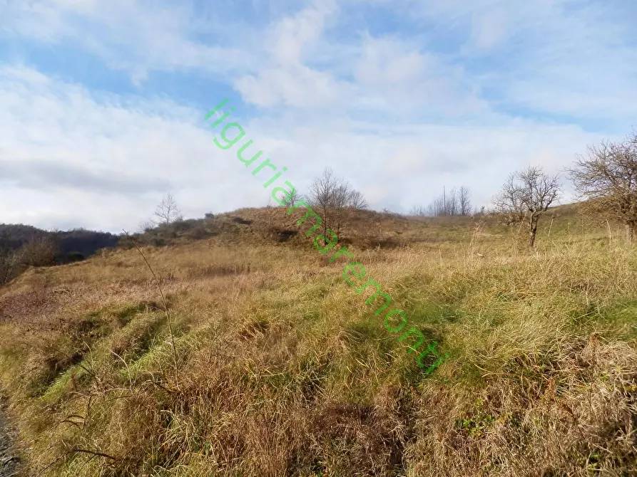 Immagine 6 di Rustico / casale in vendita  in loc vigna a Mioglia