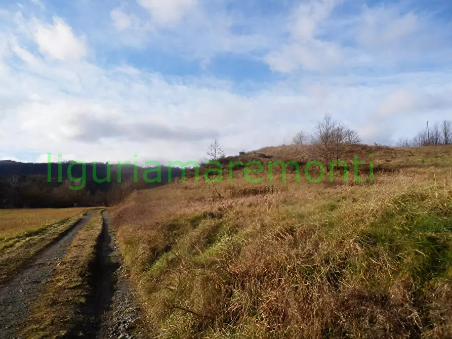 Immagine 7 di Rustico / casale in vendita  in loc vigna a Mioglia