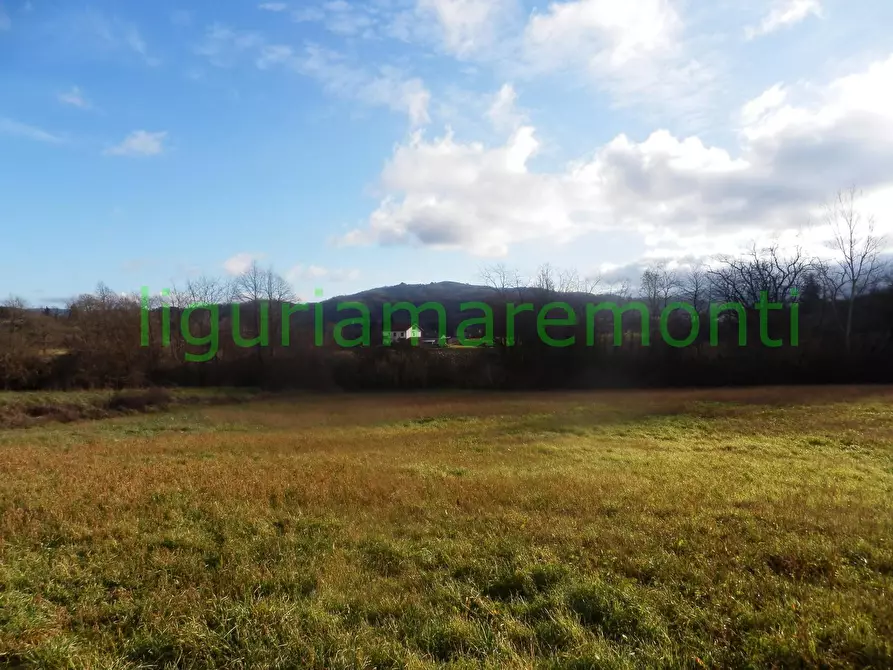 Immagine 8 di Rustico / casale in vendita  in loc vigna a Mioglia