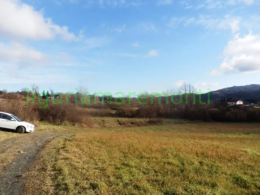 Immagine 9 di Rustico / casale in vendita  in loc vigna a Mioglia