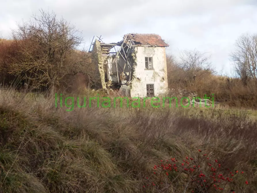 Immagine 13 di Rustico / casale in vendita  in loc vigna a Mioglia