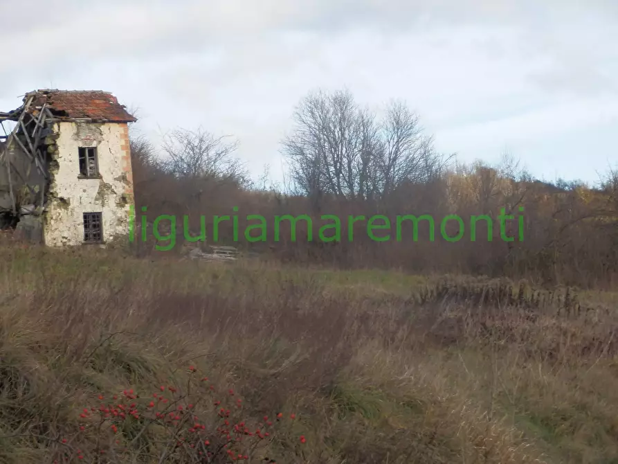 Immagine 15 di Rustico / casale in vendita  in loc vigna a Mioglia