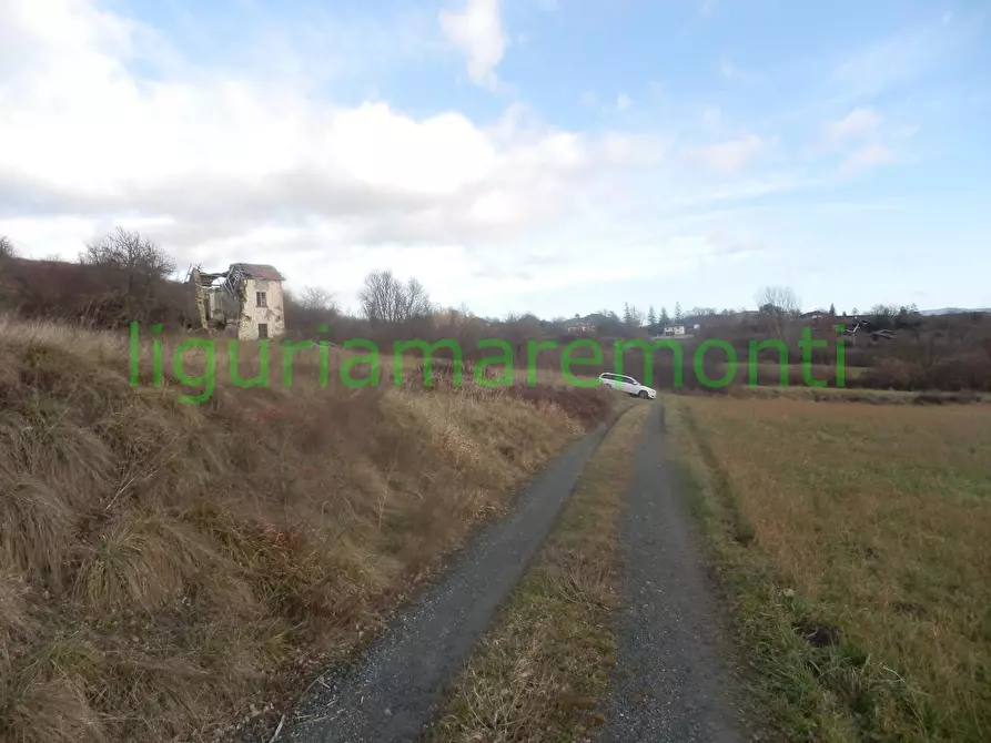 Immagine 16 di Rustico / casale in vendita  in loc vigna a Mioglia