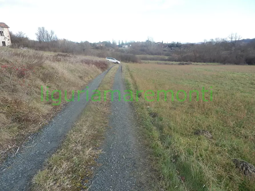 Immagine 17 di Rustico / casale in vendita  in loc vigna a Mioglia