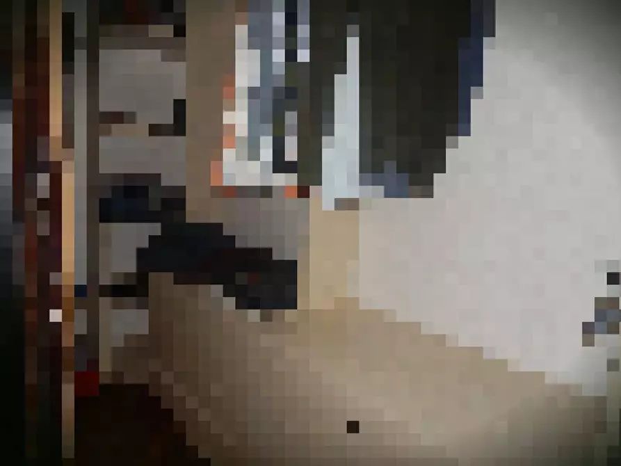 Immagine 30 di Appartamento in vendita  in via verzellino a Savona