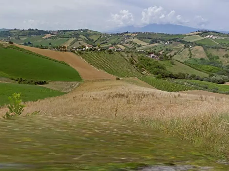 Immagine 1 di Terreno agricolo in vendita  in Contrada Ferola a Acquaviva Picena